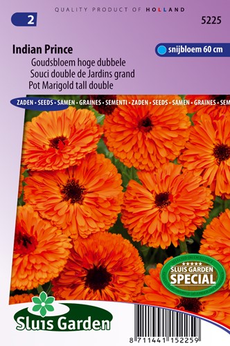 Pot Marigold Indian Prince tall double - Calendula