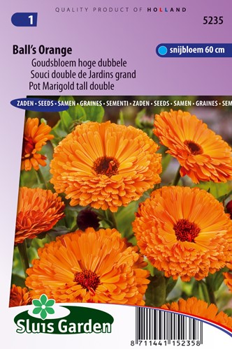 Pot Marigold Ball's Orange tall double - Calendula