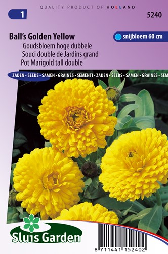 Pot Marigold Ball's Golden Yellow tall double - Calendula