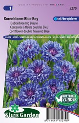 Cornflower Blue Boy double flowered