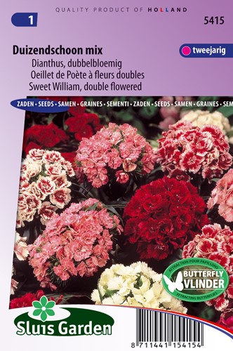 Sweet William Double Choice Mix