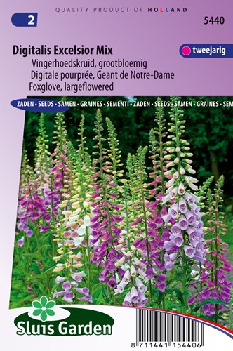 Foxglove Excelsior mix