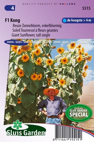 Sunflower Giant tall single F1 Kong yellow