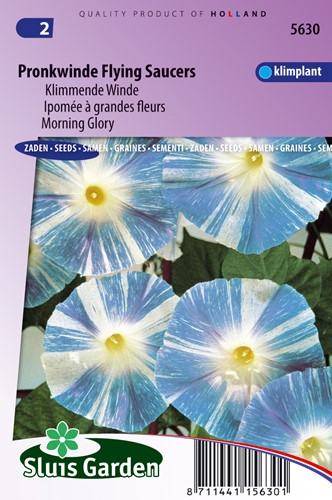 Morning glory Flying Saucers - Ipomoea