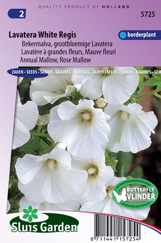 Mallow annual, White Regis