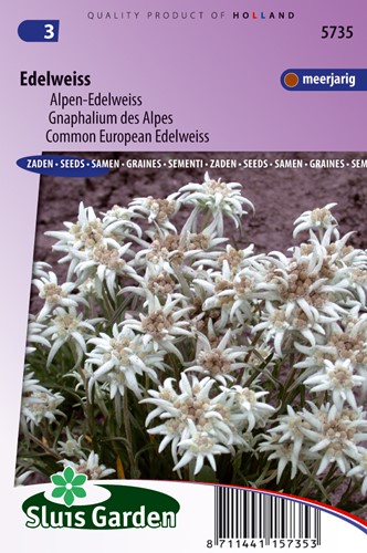 Edelweiss, Common European - Leontopodium Alpinum