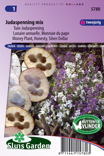 Money plant, Silver Dollar Mix - Lunaria