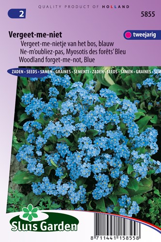 Forget-me-not (woodland) Indigo Blue