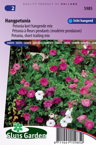 Petunia, short trailing Mix