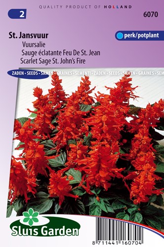 Sage scarlet, St. John's Fire