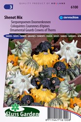 Sierpompoenen doornenkronen Shenot Mix - Cucurbita