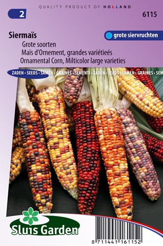 Ornamental Corn, Multicolor large varieties