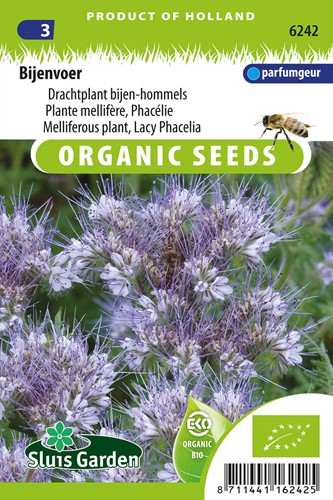 Melliferous plant, Lacy Phacelia EKO