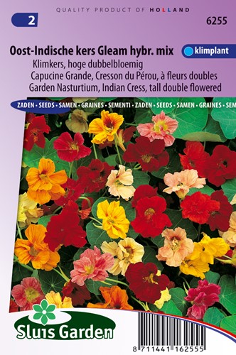 Nasturtium, Indian Cress tall double Gleam Hybrids mix