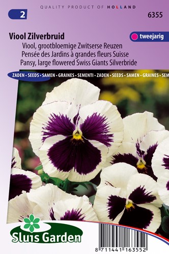Pansy Swiss Giants Silverbride