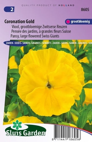 Pansy Coronation Gold - Viola Wittrockiana