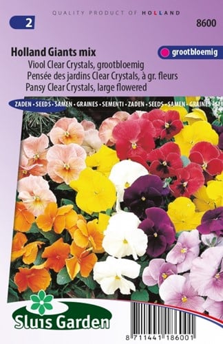 Pansy Holland Giants Mix – Viola Clear Crystals