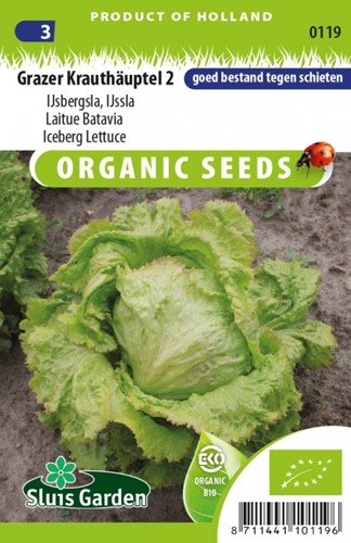 Iceberg Lettuce Grazer Kauthäuptel 2 EKO