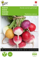 Radijs Ronde soorten gemengd - Raphanus