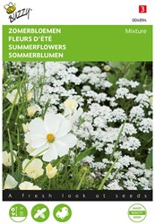 Summerflowers White mixture - Buzzy