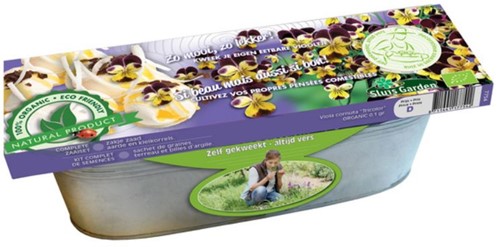 Kit Pansy Tri-color Edible ORGANIC
