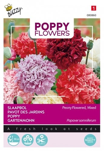 Poppy paeony flowered, mixed - Poppy Flowers