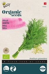 Bio Dill - Anethum graveolens