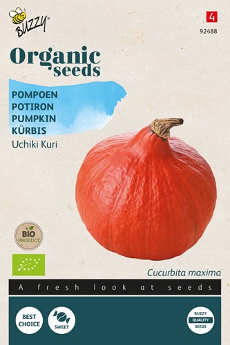 Biologische zaden Pompoen Uchiki Kuri