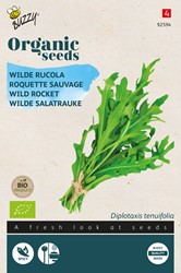 Biologische zaden Rucola Wilde Meerjarige