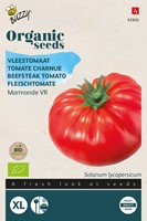 Bio Tomaat Marmande - Solanum lycopersicum