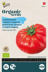 Bio Beefsteak tomato Marmande