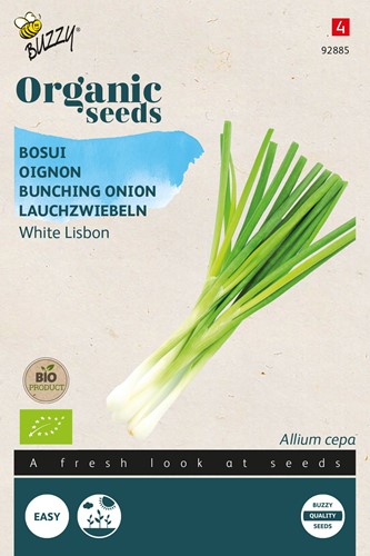 Bio Onion White Lisbon