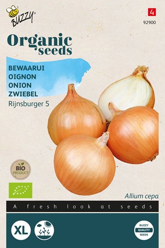 Onion Rijnsburger 5 – Buzzy Organic Seeds