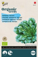 Bio Japanse Tatsoi - Brassica Narinosa