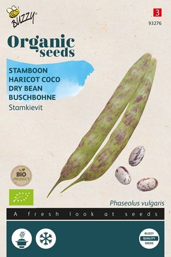 Dry Bean Kieviet low, Borlotto rosso BIO - Phaseolus vulgaris