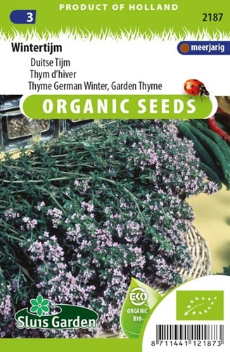 Thyme German Winter, Garden Thyme BIO - Thymus vulg