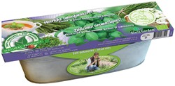 Kit Basil & Chives ORGANIC