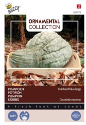 Pompoen Hubbard Large Blue - Ornamental Collection