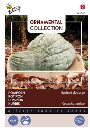 Pumpkin Hubbard Large Blue - Ornamental Collection