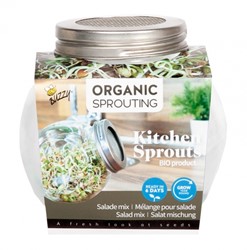 Organic Sprouting glass pot - Salad Mix