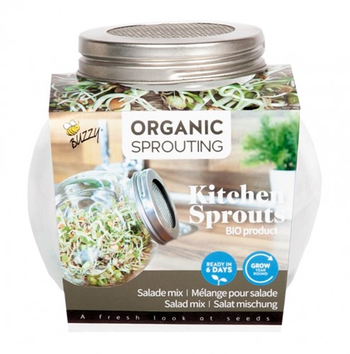 Organic Sprouting glass pot - Salad Mix