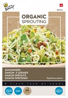 Daikon Sprouts - Buzzy Organic Sprouting