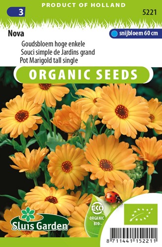 Pot Marigold Tall Single EKO - Calendula