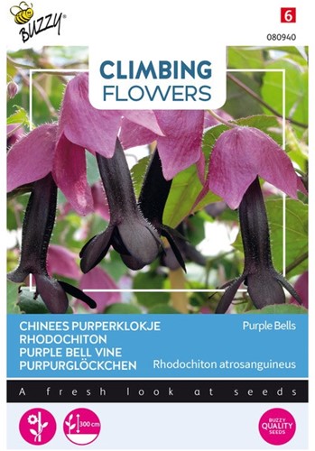 Purple Bell Vine Purple Bells - Climbing Flowers