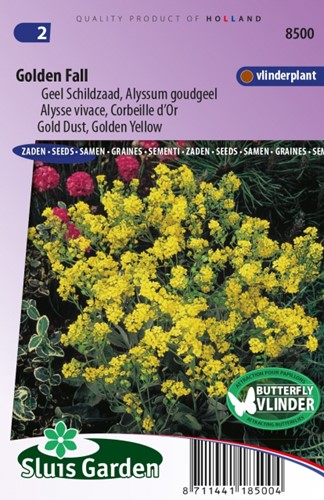 Alyssum Golden Fall - Gold Dust