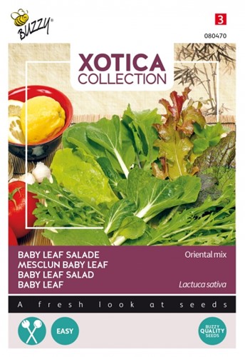 Baby Leaf Salad Oriental Mix - Xotica Collection
