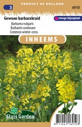 Common winter-cress