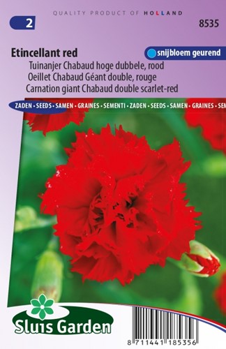 Carnation Etincellant Red – Dianthus Chabaud