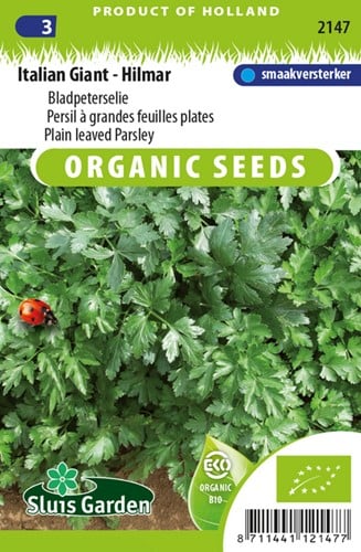 Plain leaved Parsley Italian Giant - Hilmar EKO