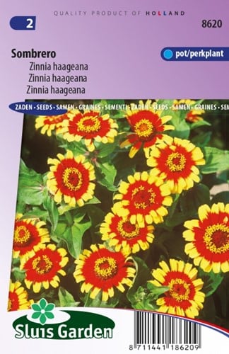 Zinnia Sombrero – Zinnia Haageana